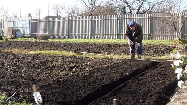 Осень в Орле дождливая но тёплая/ Успел всё таки посадить лук и чеснок. смотреть онлайн