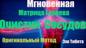 "Мгновенная Матрица Гаряева для Очистки Сосудов: Оригинальный Метод!"#эхотибета