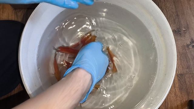 Дискусы в Волгоград смотреть онлайн