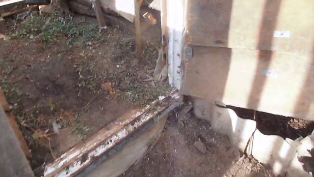 посадка саженцев граната 01. 11. 23. смотреть онлайн