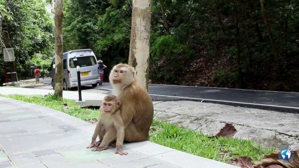 Thailand, Koh Lanta , 2013