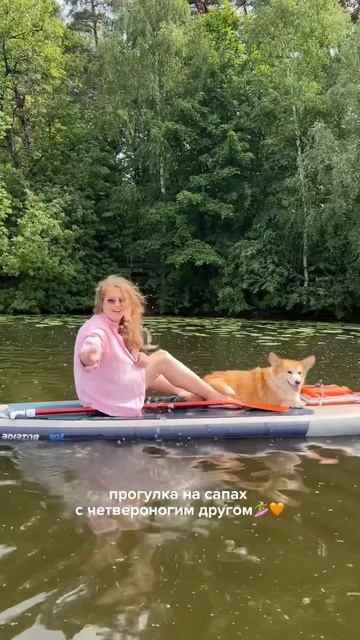 План на лето: кататься на сапах по Москве реке со своей собакой и Sup Surf Moscow☀️ #корги #москва смотреть онлайн