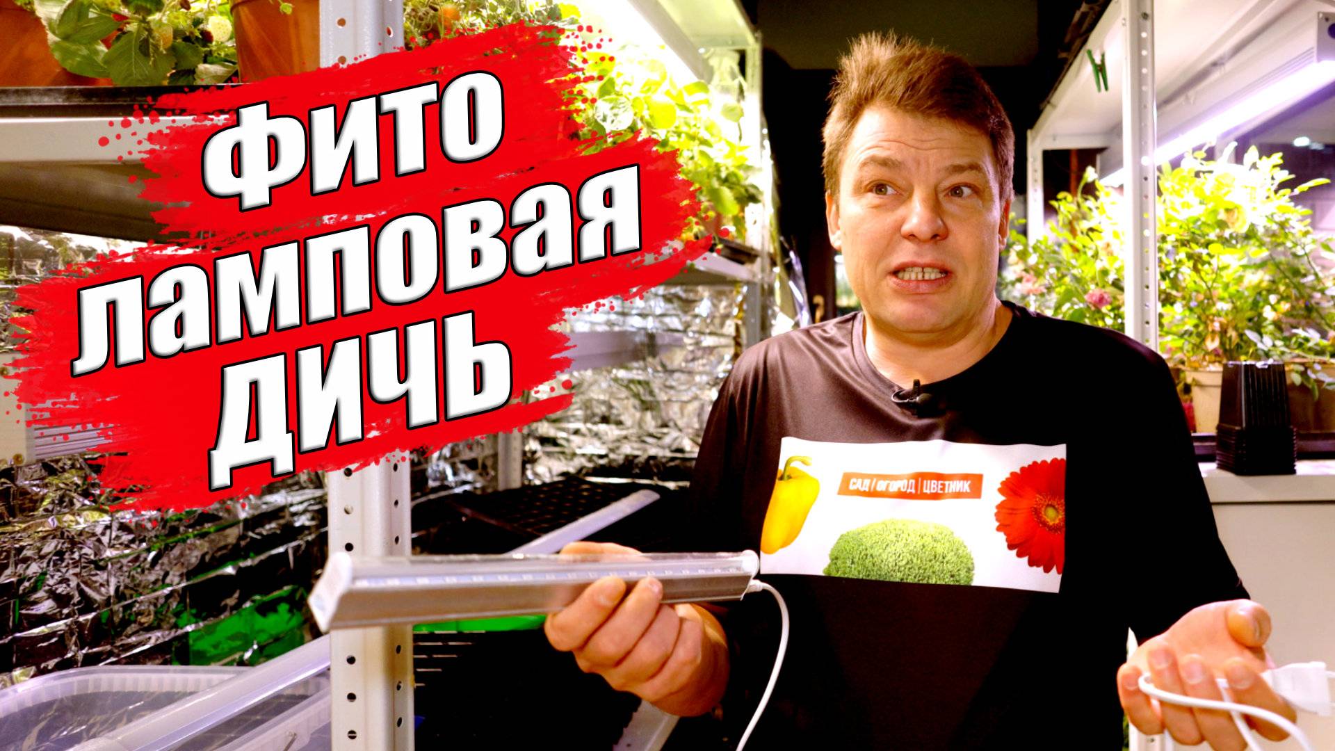 Как выбрать фитолампу для ваших растений, рассада и полный цикл смотреть онлайн
