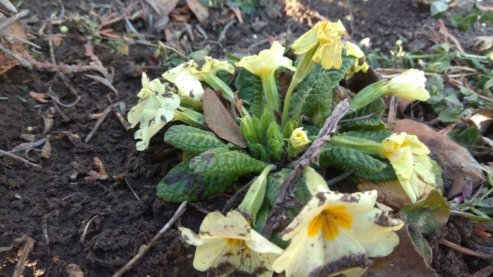 Последствия норд-оста смотреть онлайн