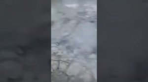 Детектор призраков👻👻