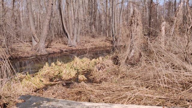 VID_20240402_123948 смотреть онлайн