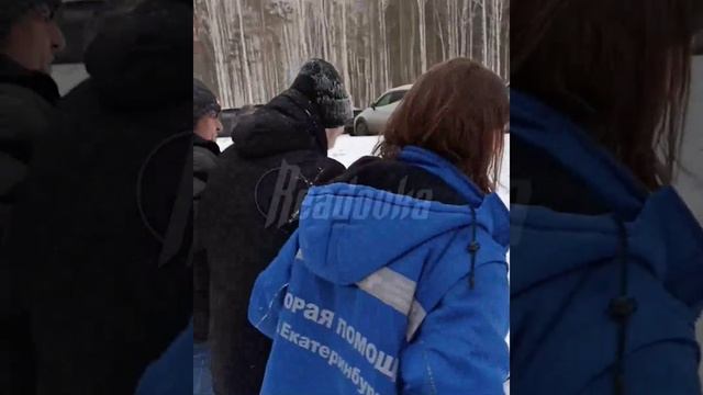 В Екатеринбурге идет стычка между лесорубами и экоактивистами за местную рощу — уже дошло до драки смотреть онлайн