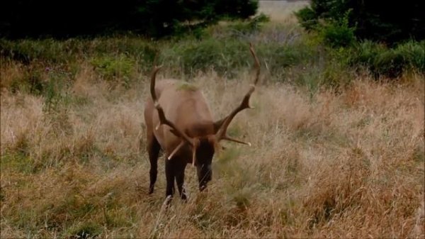 Красивая музыка для Души - Дудук      https://www.facebook.com