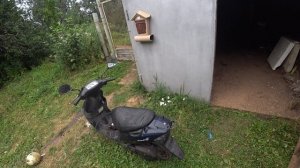 стоит ли брать старый японский скутер с рук Suzuki lets 2