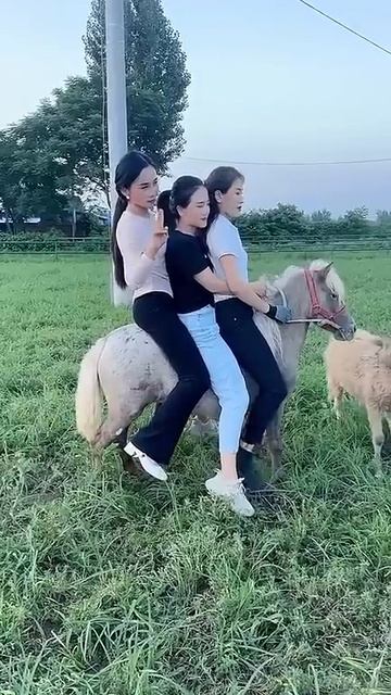 Pony Riding 3 смотреть онлайн