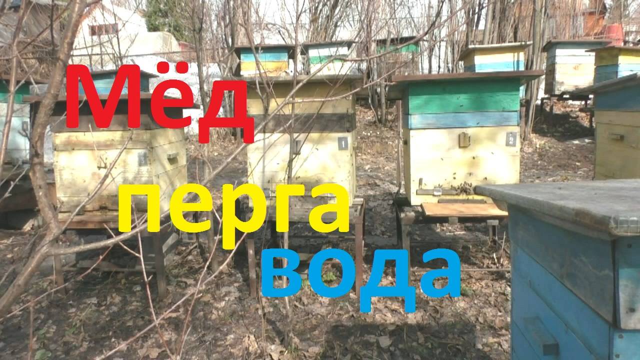 Чтобы весной пчел не потерять смотреть онлайн