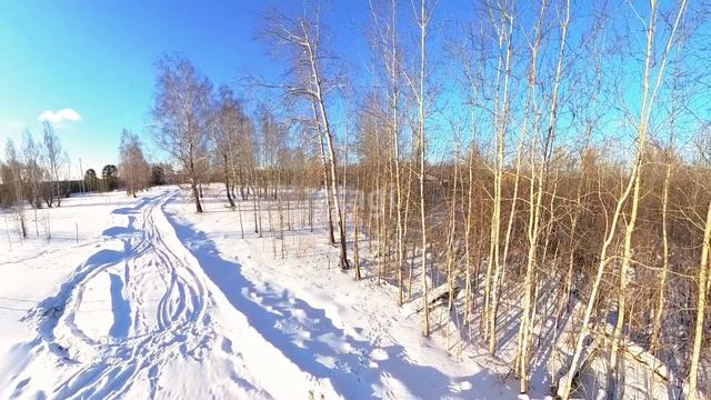 4536219 смотреть онлайн