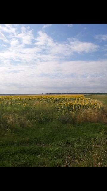 охота смотреть онлайн