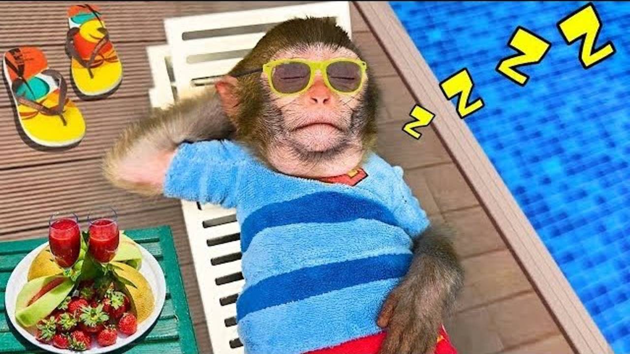 Чичи играет в зомби против растений и играется с щенком| Чичи и щенок| Малыш Чичи смотреть онлайн