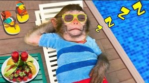 Чичи играет в зомби против растений и играется с щенком| Чичи и щенок| Малыш Чичи