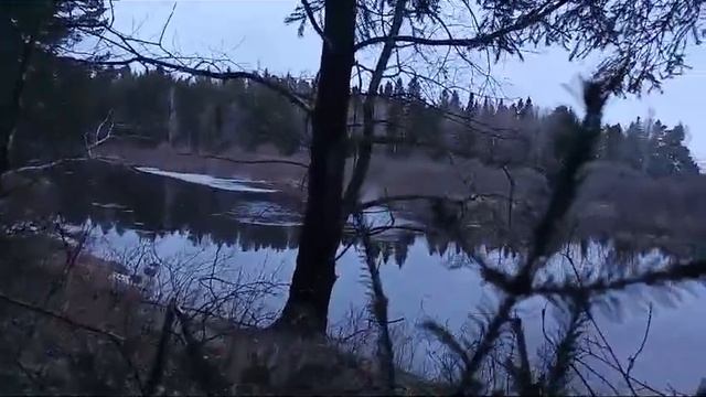 на манок .mp4 смотреть онлайн