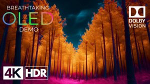 Захватывающее видео в 4K Ultra HD | 4K HDR 60 кадров в секунду с Dolby Vision™