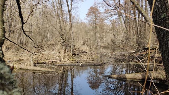 VID_20240402_123248 смотреть онлайн