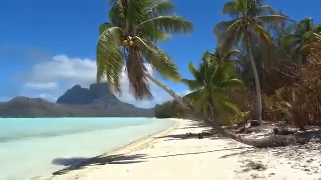 Bora Bora Song 1