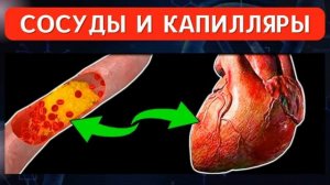 Сосуды и Капилляры*Исцеление Звуком Розового Шума с Тета Волнами