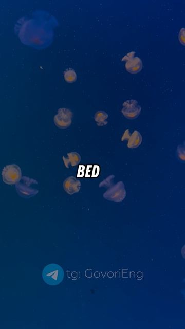 АНГЛИЙСКИЙ ДЛЯ НАЧИНАЮЩИХ | Учи английский по 5 минут в день! смотреть онлайн