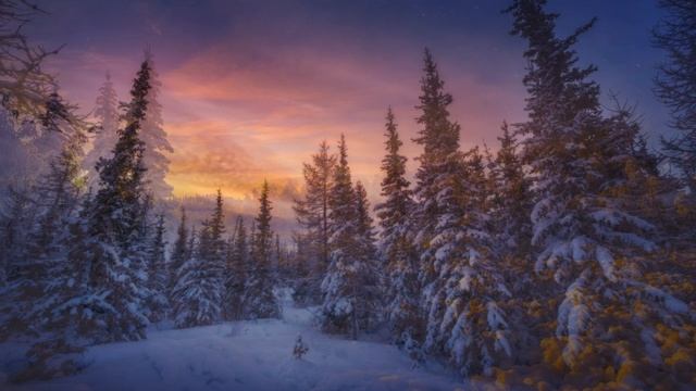 🎼. Мухтар Хордаев - «Две Души, Два Сердца» смотреть онлайн