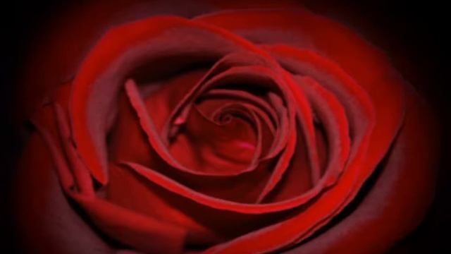 Поздравительное видео для друзей смотреть онлайн