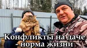Дачные будни: Новый сарай и конфликты с парником
