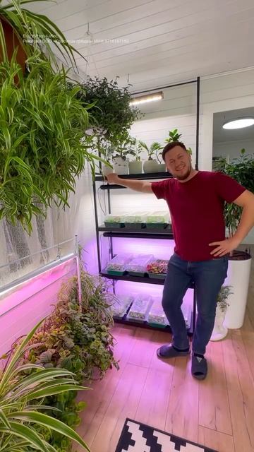 А Вы знали что ваши посылки во время доставки кидают и не церемонятся? смотреть онлайн