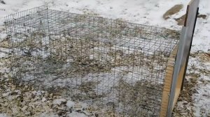 Ловушка на куницу, норку, ласку и т.д. 
Прудовые будни.