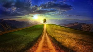 Перед дальней дорогой