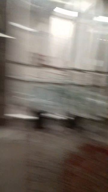 1000012782.mp4 смотреть онлайн