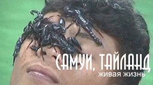 САМУИ, ТАЙЛАНД