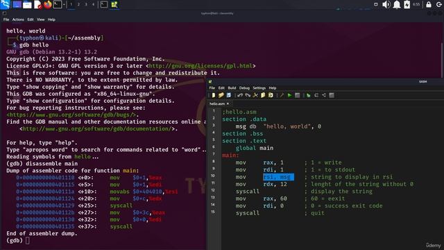 13 Debugging x86-64 2. Debugging and Finding Variables in Memory addresses смотреть онлайн