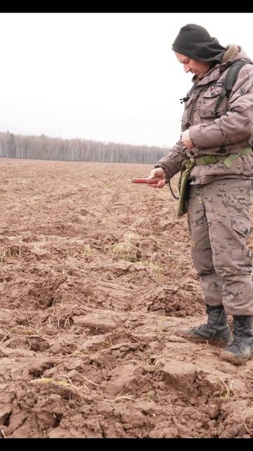 СИГНАЛ 92 НАДО КОПАТЬ 😱 #поискмонет #клад #металлоискатель #коп #metaldetector #металлкоп смотреть онлайн