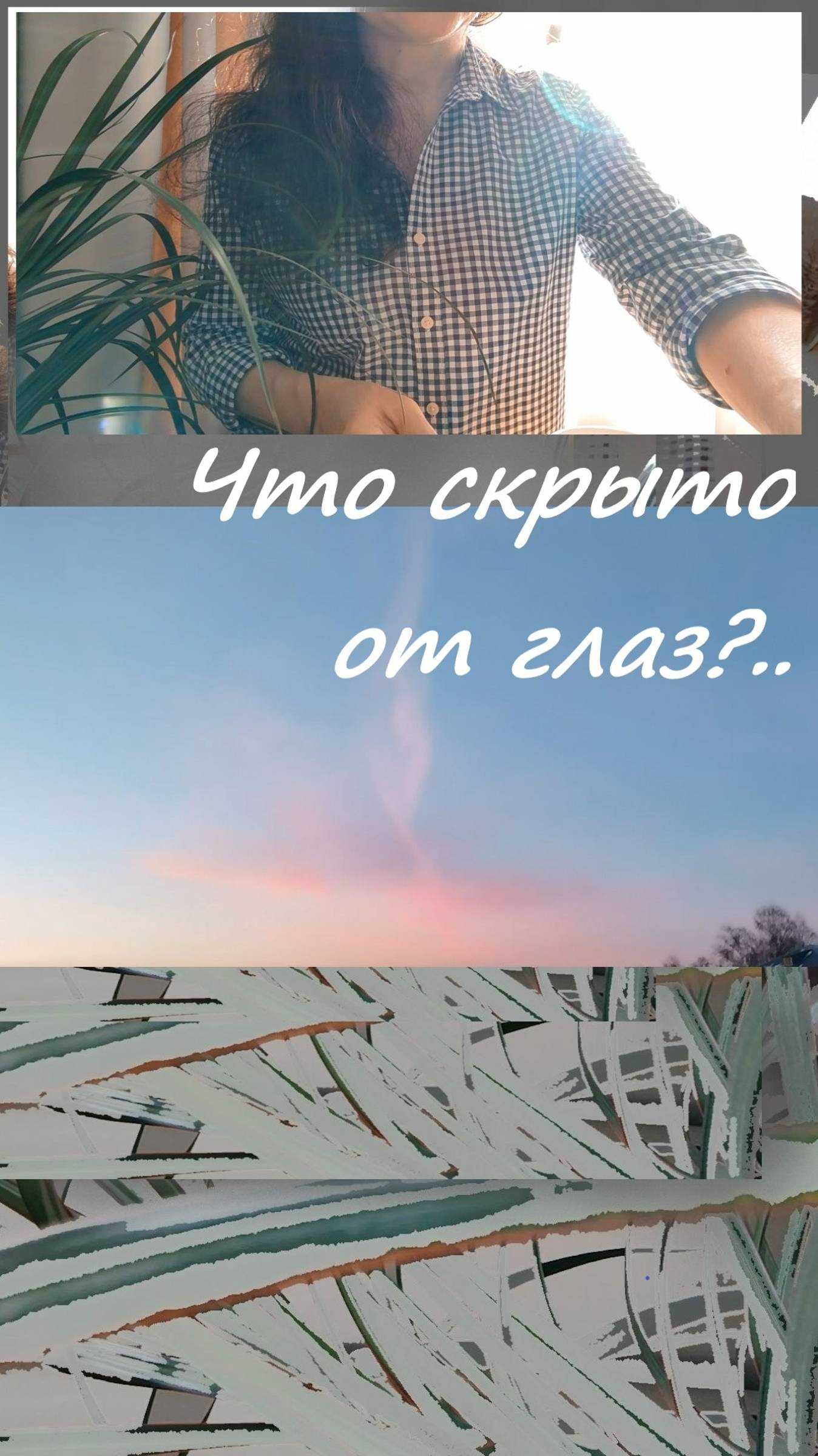 Одна реальность, а видится по-разному... #shorts смотреть онлайн