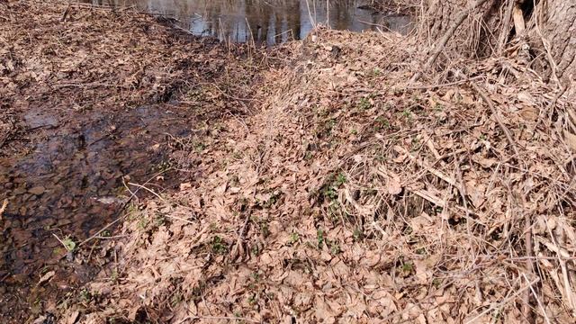 VID_20240402_132817 смотреть онлайн