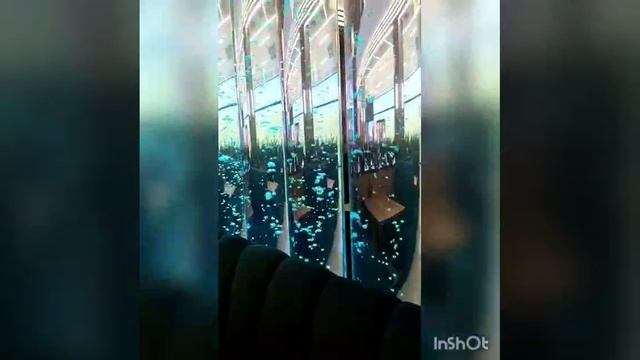 Пузырьковые колоннады в ресторане. смотреть онлайн