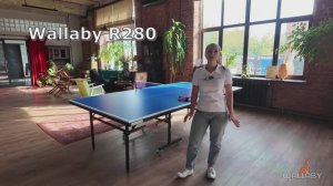 Обзор теннисного стола для помещений Wallaby Indoor R280 Blue