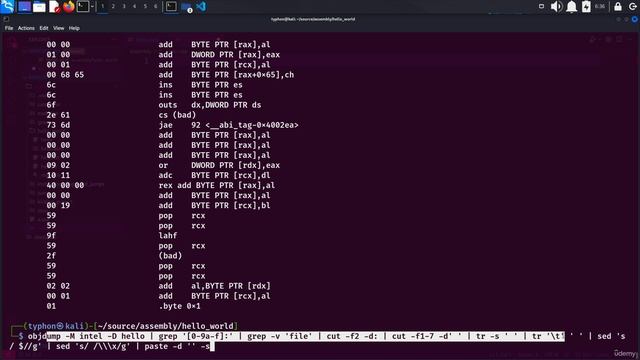 21. First but not last SHELLCODE 1. Developing our own Shellcode and Segmentation fault смотреть онлайн