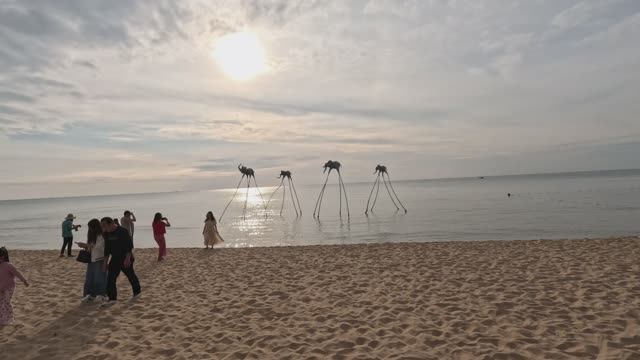 VLOG// ФУКУОК ВЬЕТНАМ// Едем на пляж слонов смотреть онлайн