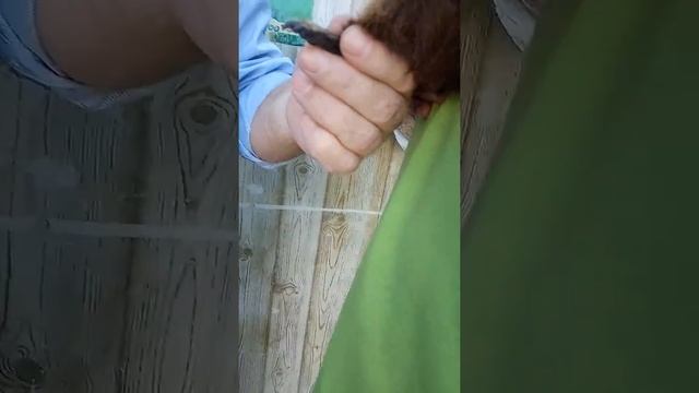 Булкины мучения)! смотреть онлайн