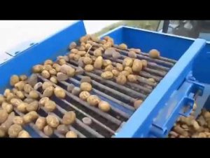 Однорядный картофелеуборочный комбайн Лидчанин 1 для тракторов тягового класса 1,4 Кн