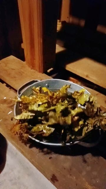 Собака в бане смотреть онлайн
