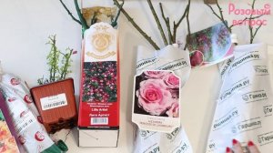 Распаковка посылки Гаршинка 30.03.2023