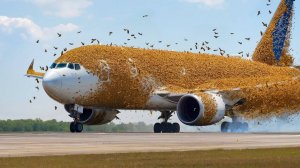 65 Невероятных Моментов в Авиации, Снятых на Камеру