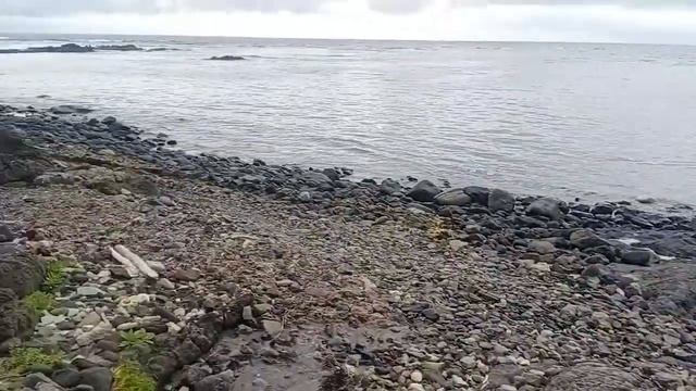 Сентябрь 2022г о.Кунашир. Дорога на императорские ванны смотреть онлайн