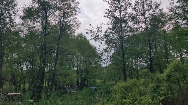 VID_20240518_121639 смотреть онлайн