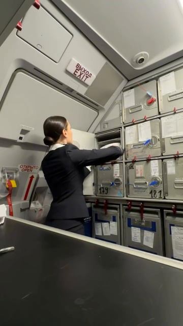 Уважаемые пассажиры, рейс готов к полету! смотреть онлайн