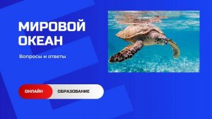 Мировой океан. Видеоурок для школьников.  География.